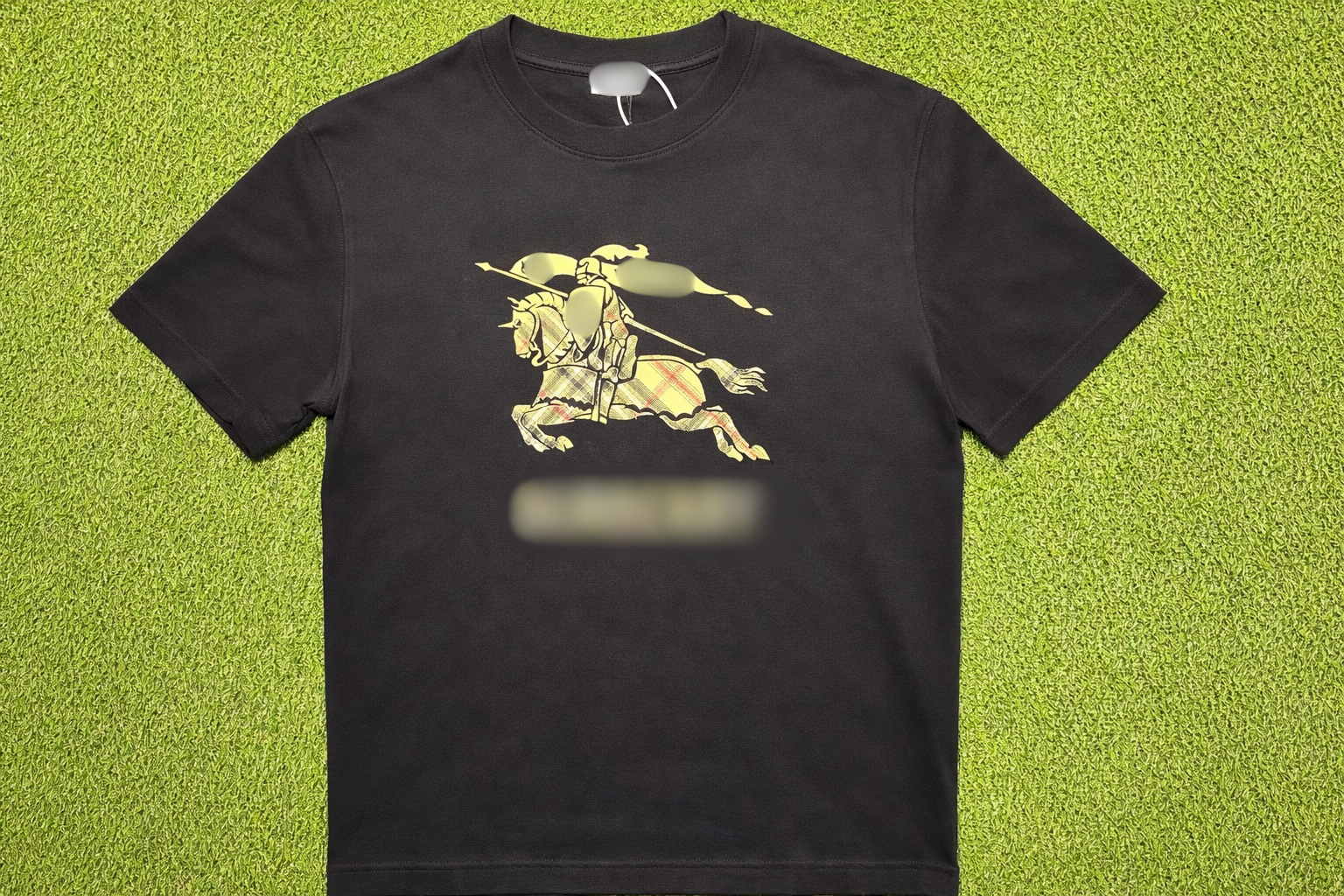 𝐁𝐥𝐮𝐞𝐛𝐞𝐫𝐫𝐲 𝐓𝐞𝐞